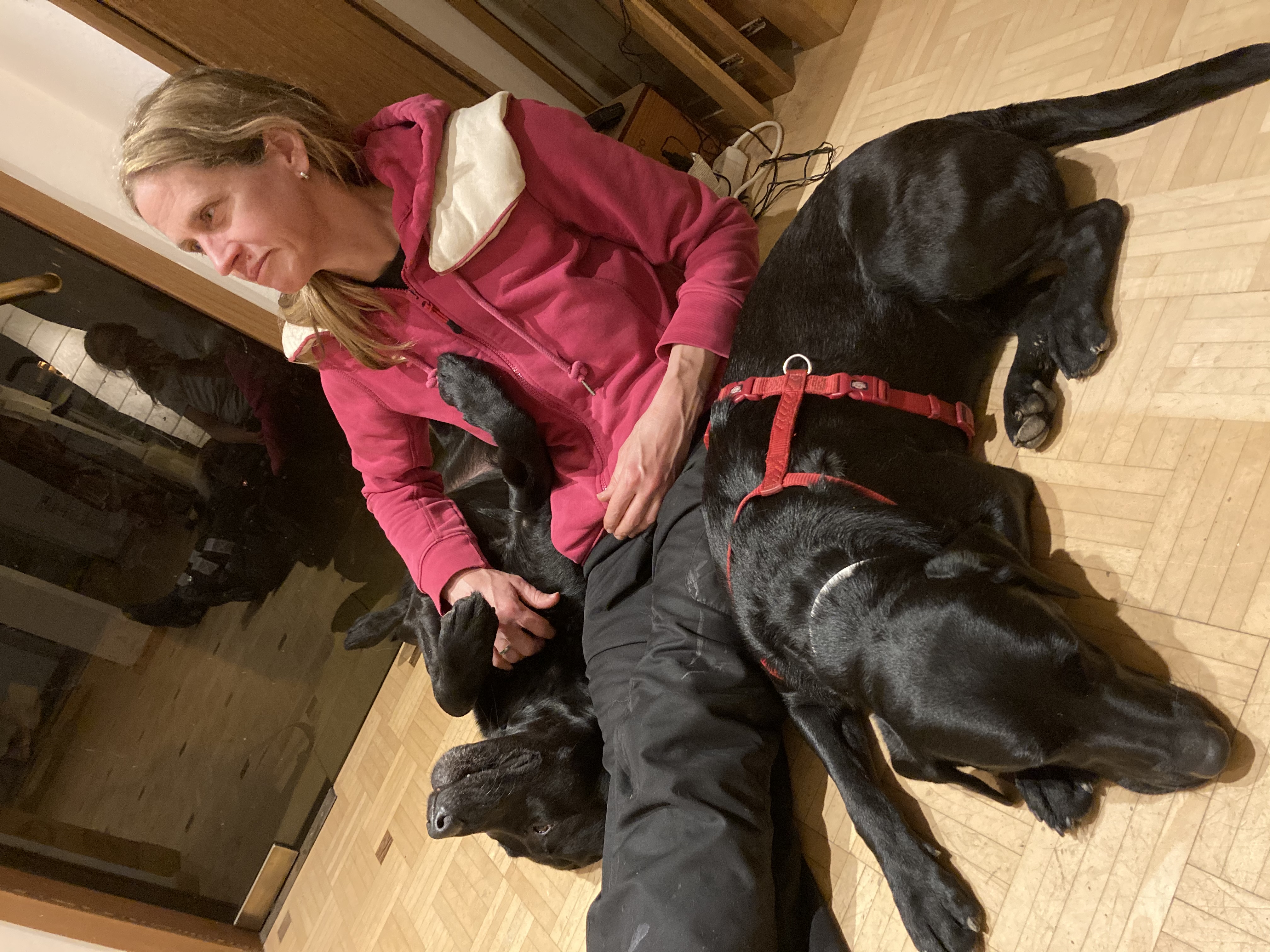 Ich sitze entspannt mit zwei schwarzen Hunden auf dem Boden.